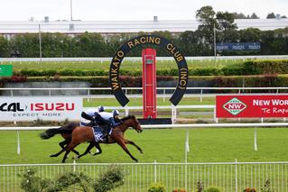 Lot 182 (Ocean Park x Soho Girl) and Lot 121 (Tavistock x Plaque) from the Ohukia Lodge draft breezing up. 